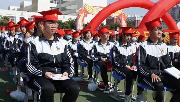 寻找萌宠松鼠