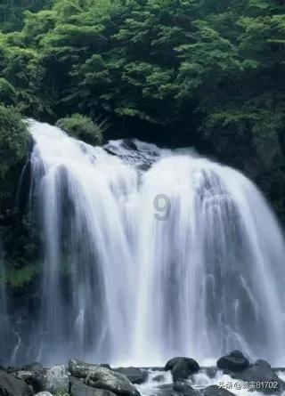飞仙诀