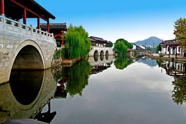 无休止的树